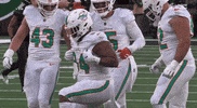 National Football League GIF by NFL