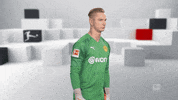 Proud Line Up GIF by Bundesliga