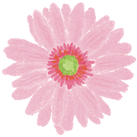 Drfelisflower Sticker by Dr.Felis