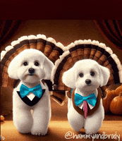 Dogs Thanksgiving GIF by HammyandBrody