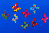 Boomf happy birthday surprise boomf boomf flutter GIF