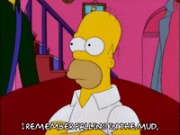 homer simpson GIF