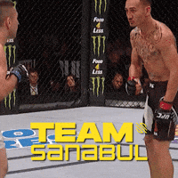 Max Holloway Ufc GIF by Sanabul