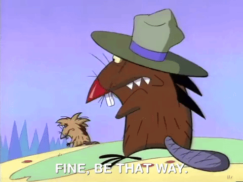 nickrewind giphydvr nicksplat angry beavers giphyab005 GIF
