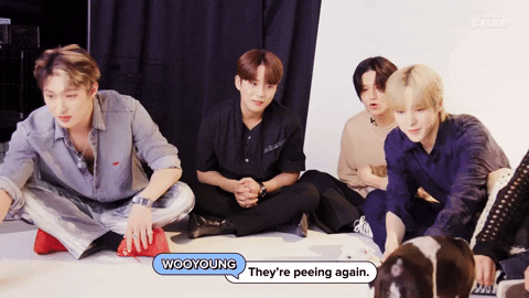 Puppies Ateez GIF by BuzzFeed