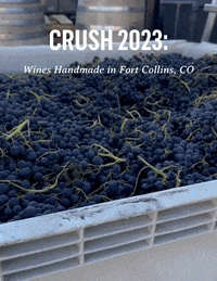 GIF by Odell Brewing Company
