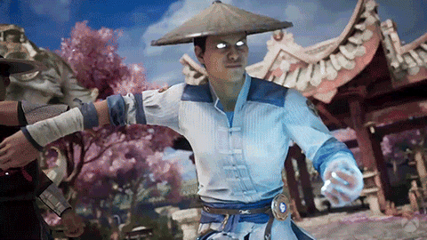 Mortal Kombat Fighting GIF by Xbox