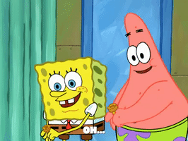 season 6 GIF by SpongeBob SquarePants