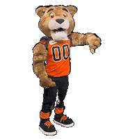 Lets Go Thumbs Up Sticker by BC Lions