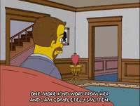 Episode 15 GIF by The Simpsons