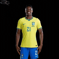 Fifa World Cup Brazil GIF by Respective