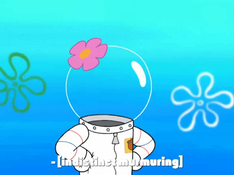season 7 episode 20 GIF by SpongeBob SquarePants