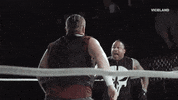 swerve damian abraham GIF by THE WRESTLERS