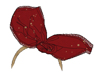 tapealoeil tapealoeil taodream Sticker