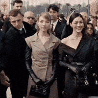 Christian Dior GIF