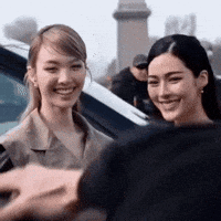 Christian Dior GIF