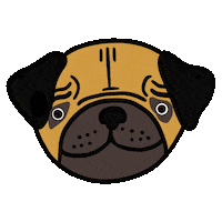 happy dog Sticker by Stay Home Club