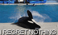 GIF by WE tv