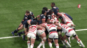 GIF by franceinfo