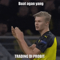 Money Invest GIF by ProBit Global
