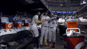 Celebrate Home Run GIF by New York Mets