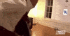 College Basketball Sport GIF by NCAA March Madness