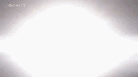 arielsotto013097 giphyupload GIF