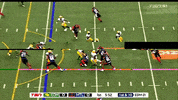 als montreals alouettes GIF