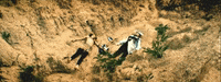 Tired We Are The People GIF by Empire of the Sun