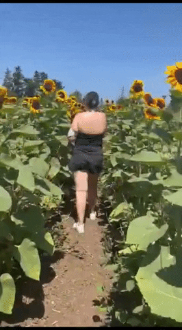 Nerivio giphyupload GIF