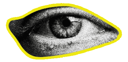 nofixedaddressinc giphyupload Sticker