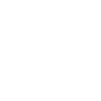 tvfish white drawing line minimal Sticker