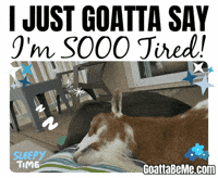 Goats Cant Stay Awake GIF by Goatta Be Me Goats! Adventures of Java, Toffee, Pumpkin and Cookie!