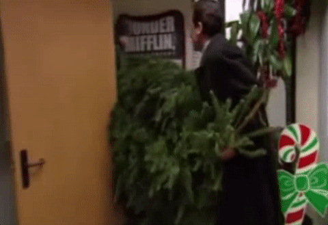 the office GIF by Holidays