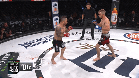 GIF by Bellator