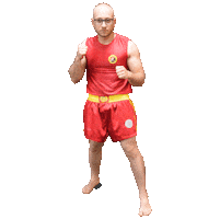 Sora Lottatore Sticker by Champion Training Sanda Martial Art