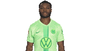Germany Love Sticker by VfL Wolfsburg