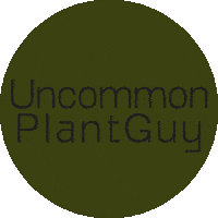 UncommonPlantGuy uncommonplantguy Sticker