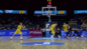 Liga Endesa Basketball GIF by ACB