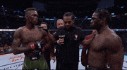 Mixed Martial Arts Sport GIF by UFC