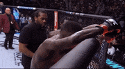 Mixed Martial Arts Sport GIF by UFC