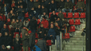 GIF by FOX Sports