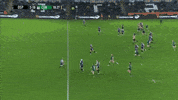GIF by Connacht Rugby