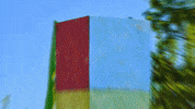 Survivor GIF by CBS