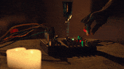 GIF by Zoommer