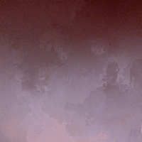 GIF by Boopy Club