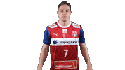 Handball-Bundesliga Sport Sticker by LIQUI MOLY HBL