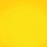 Happy Party GIF by Licor Beirão