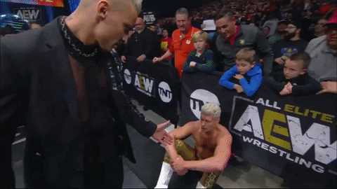 GIF by ALL ELITE WRESTLING
