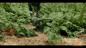 Jurassic Park Mommy GIF by Regal